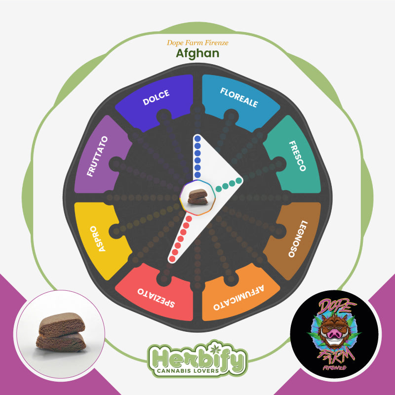 Afghan • da 3,33€/g Dope Farm Firenze