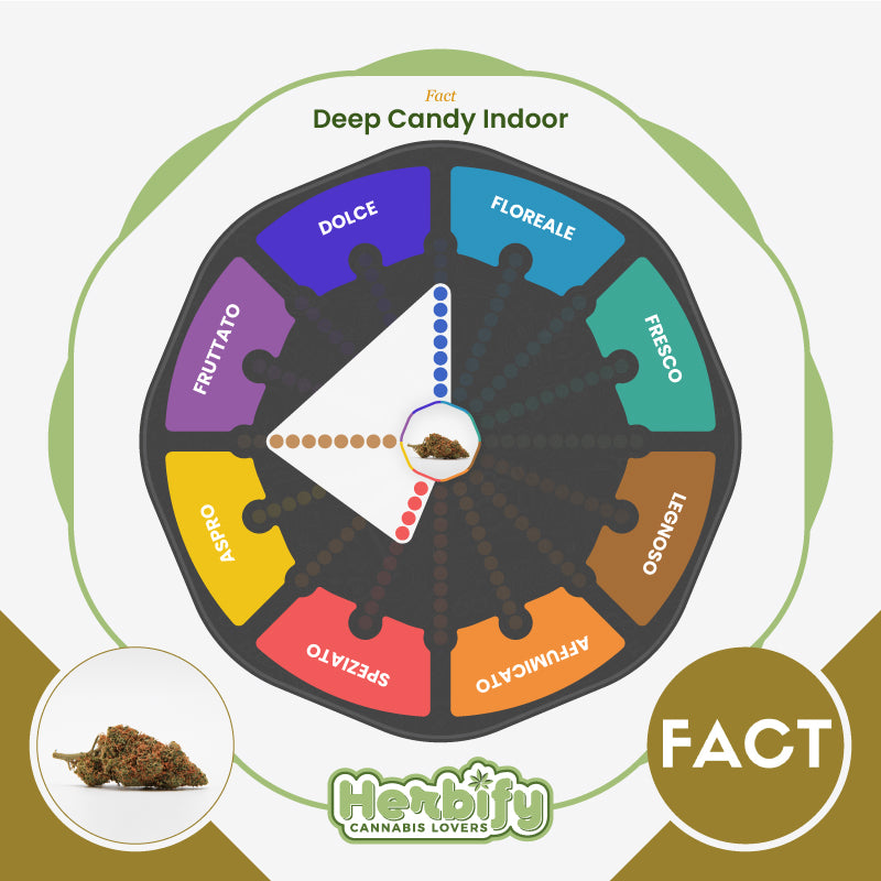 Deep Candy Indoor • da 7,80€/g