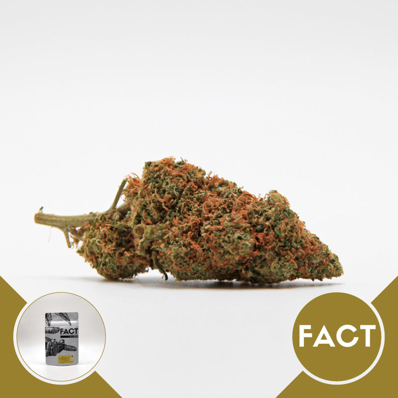 Deep Candy Indoor • da 7,80€/g