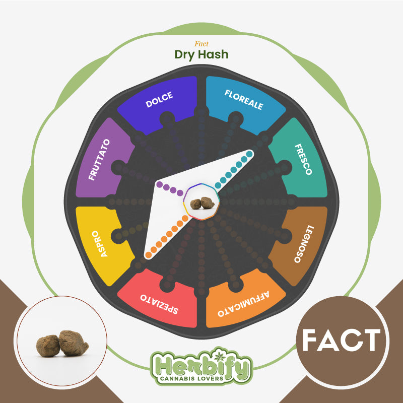 Dry Hash • da 7€/g