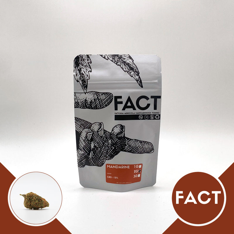 Mandarine Indoor • da 7,80€/g