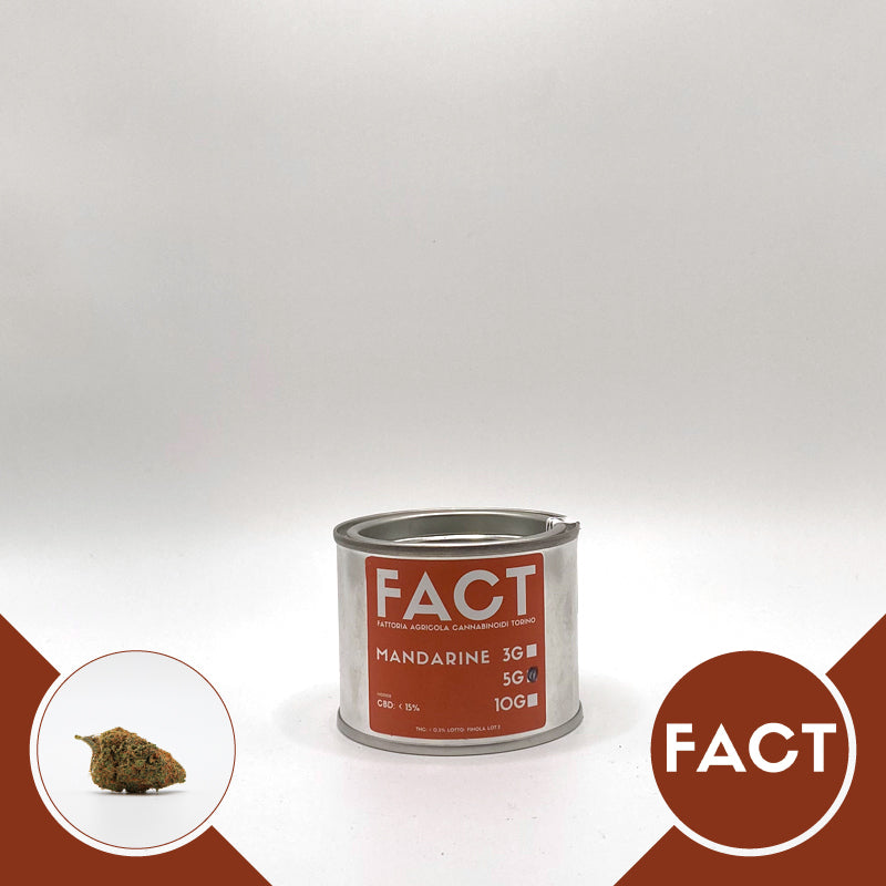 Mandarine Indoor • da 7,80€/g