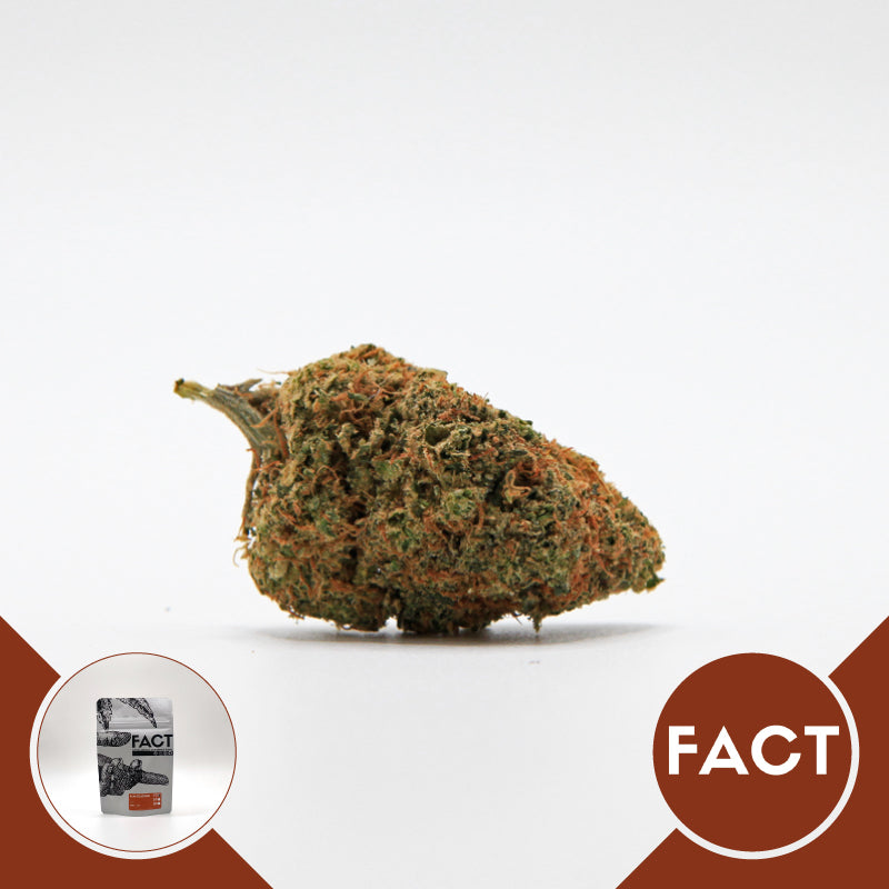 Mandarine Indoor • da 7,80€/g