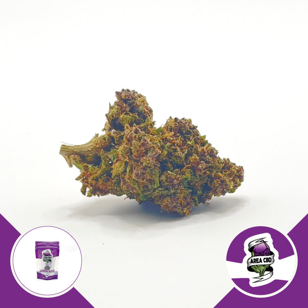 herbify-cannabis-lovers-delivery-cbd-firenze-italia-area-cbd-2023-lemon-kush-erba-legale