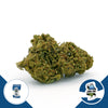 herbify-cannabis-lovers-delivery-cbd-firenze-italia-area-cbd-2023-nobile-erba-legale