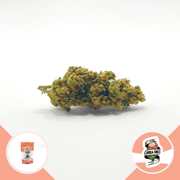 herbify-cannabis-lovers-delivery-cbd-firenze-italia-area-cbd-2023-peach-kush-erba-legale