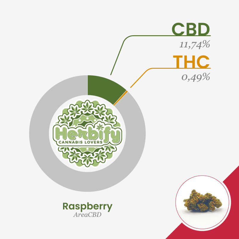 herbify-cannabis-lovers-delivery-cbd-firenze-italia-area-cbd-2023-raspberry-busta-1g