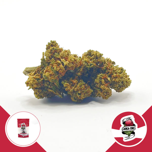 herbify-cannabis-lovers-delivery-cbd-firenze-italia-area-cbd-2023-raspberry-erba-legale
