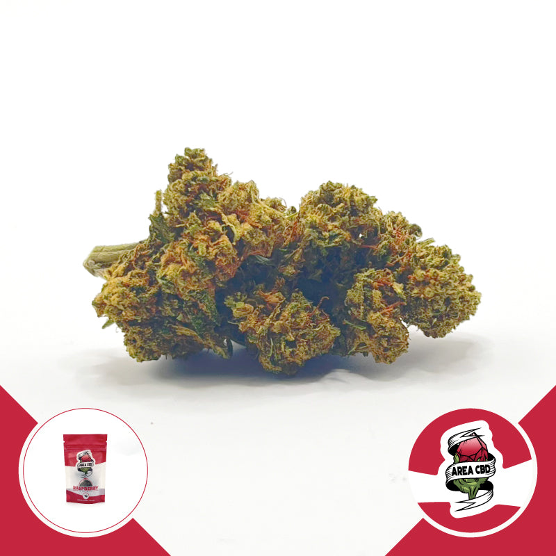 herbify-cannabis-lovers-delivery-cbd-firenze-italia-area-cbd-2023-raspberry-busta-1g