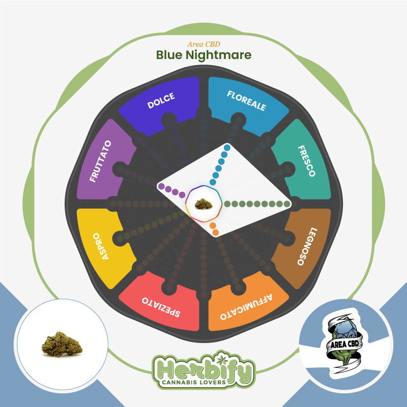 Blue Nightmare • da 3,18€/g