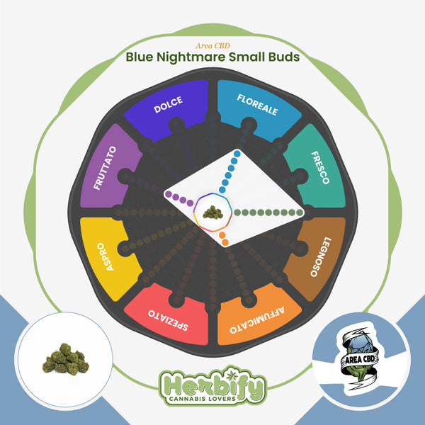 Blue Nightmare Small Buds • from 2.80€/g