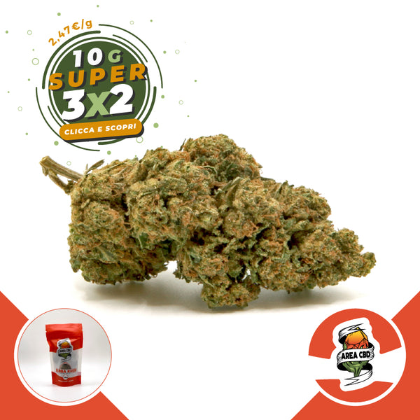 Bubba Kush • da 2,47€/g