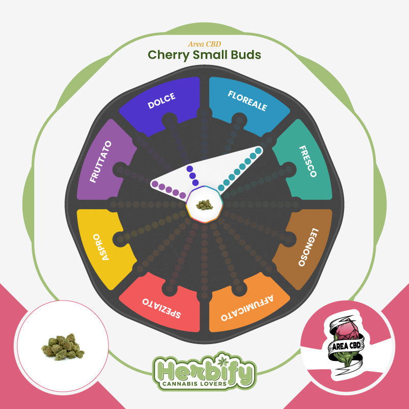 Cherry Small Buds • da 2,80€/g