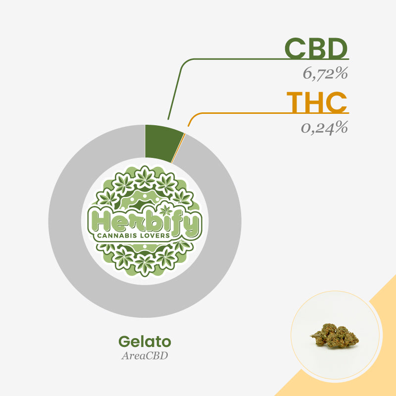 Gelato • da 2,82€/g
