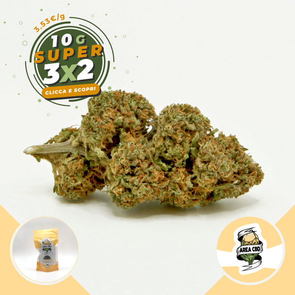 Gelato • from 3.53€/g