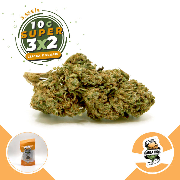 Kali Joy • from 3.53€/g