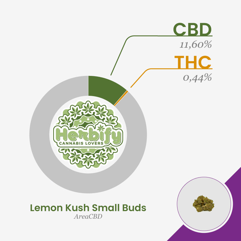 Lemon Kush Small Buds • da 2,70€/g