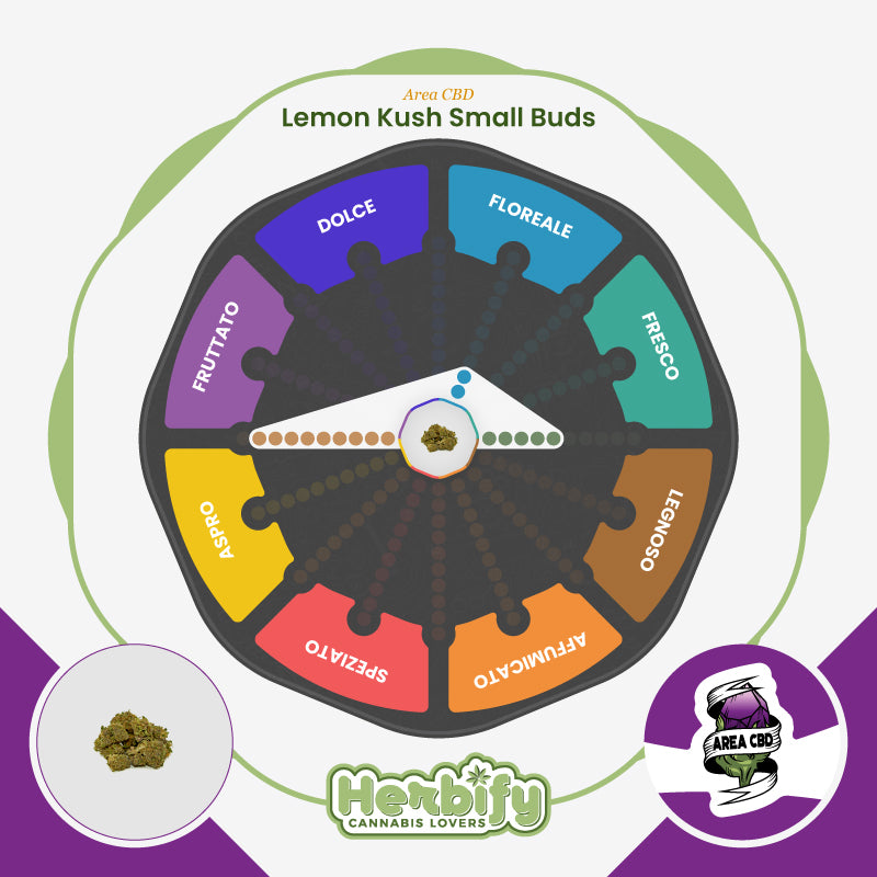Lemon Kush Small Buds • da 2,70€/g