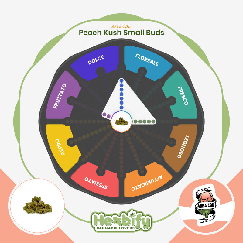 Peach Kush Small Buds • da 2,70€/g