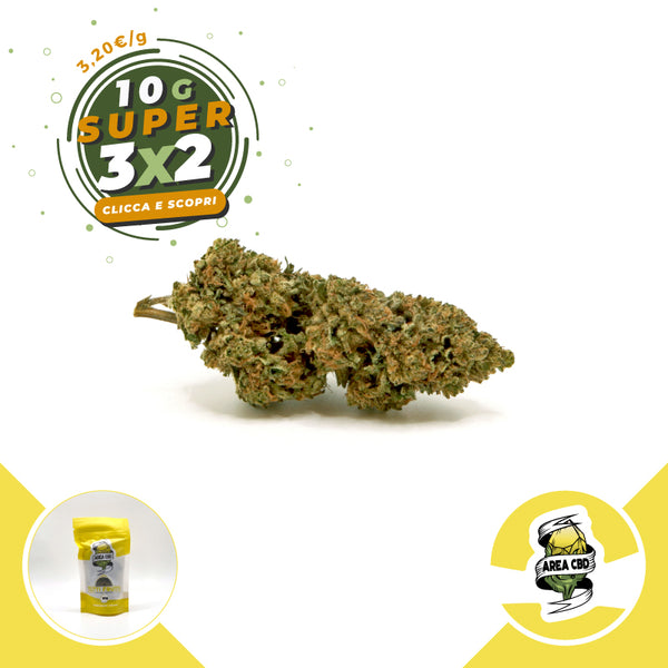 Tutti Frutti • from 3.20€/g