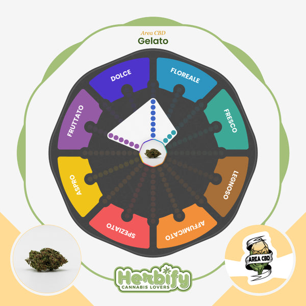 Gelato • da 3,86€/g