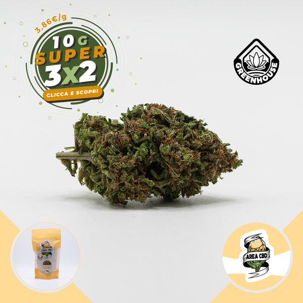 Gelato • da 3,86€/g