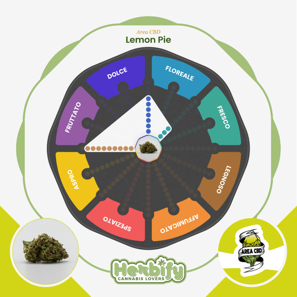 Lemon Pie • da 3,86€/g