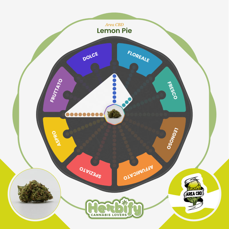 Lemon Pie • da 3,86€/g