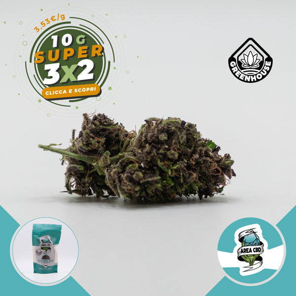 Sapphire Kush • da 3,53€/g
