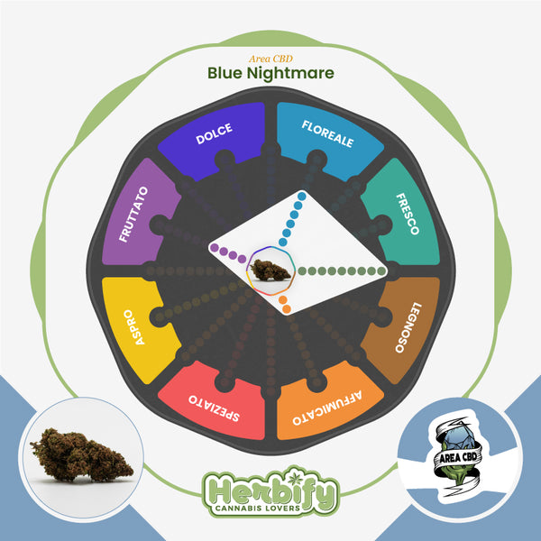 Blue Nightmare • da 3,53€/g