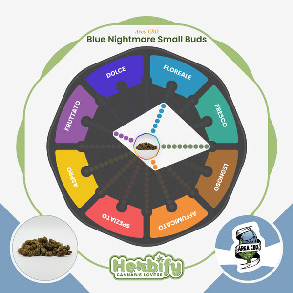 Blue Nightmare Small Buds • da 2,80€/g