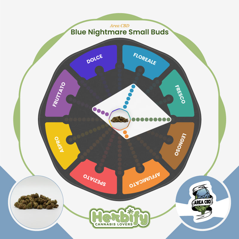 Blue Nightmare Small Buds • da 2,80€/g