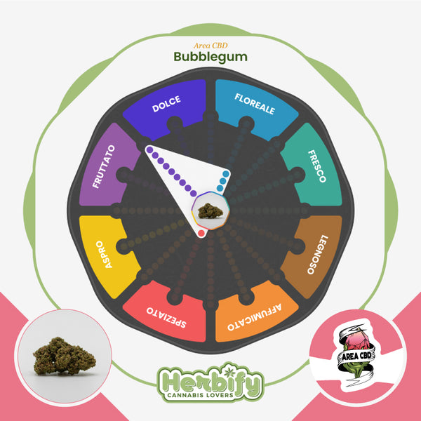 Bubblegum • da 3,53€/g