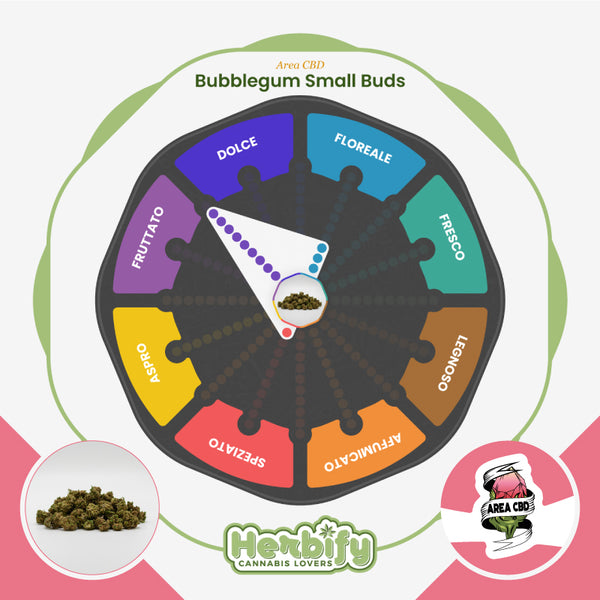 Bubblegum Small Buds • da 2,80€/g