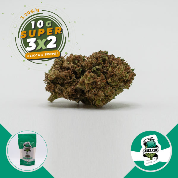 Harlequin • da 3,20€/g