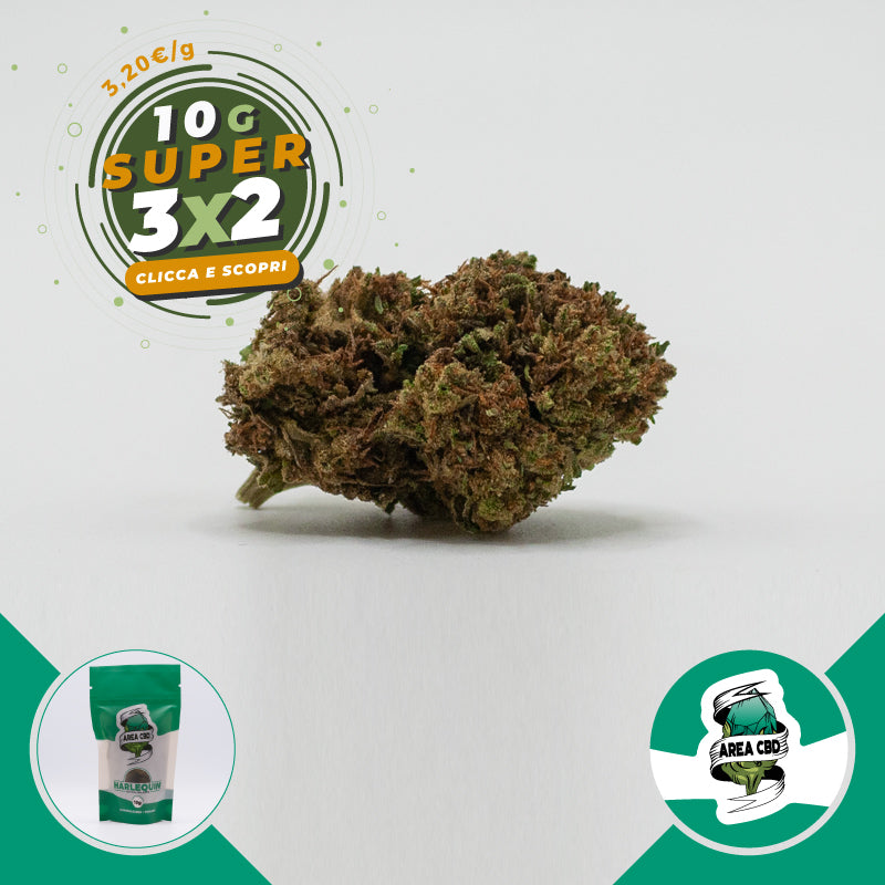 Harlequin • from 3.20€/g