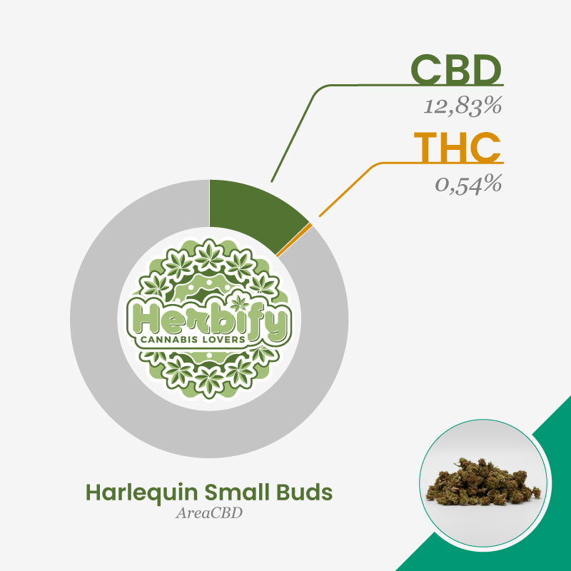 Harlequin Small Buds • from 2.70€/g