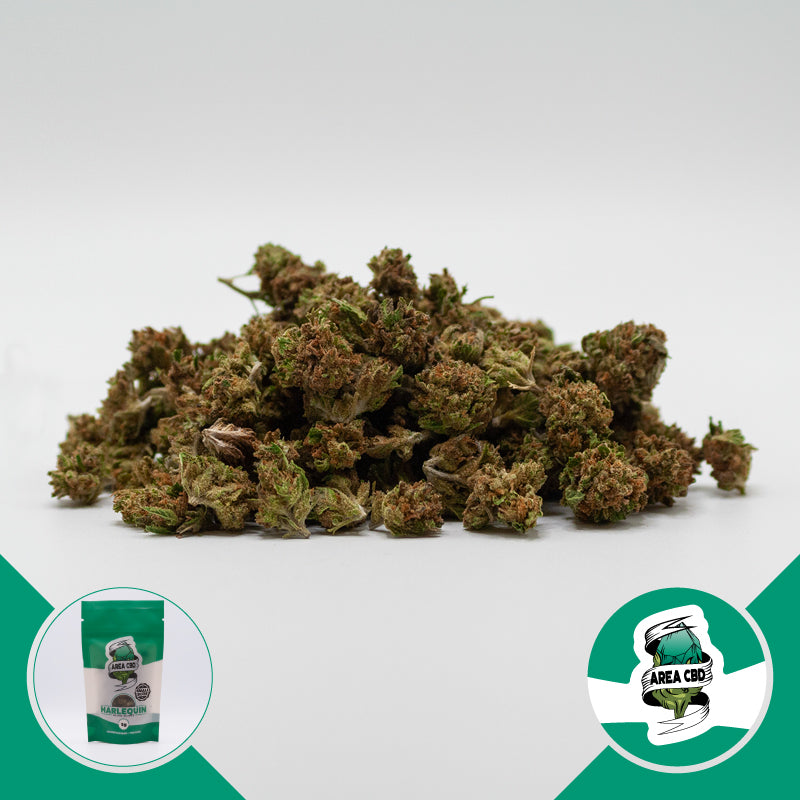 Harlequin Small Buds • from 2.70€/g