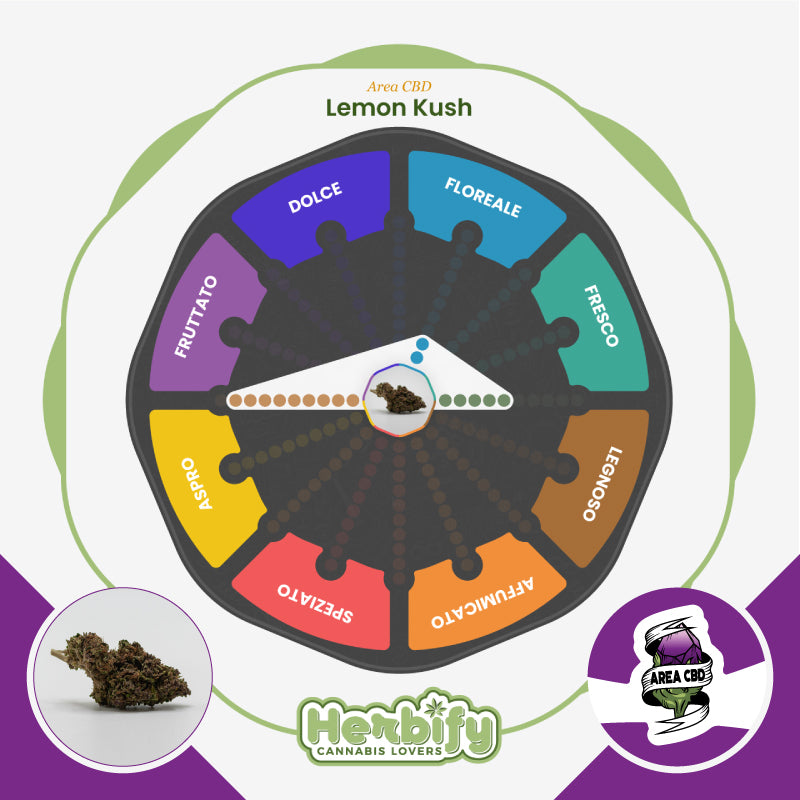 Lemon Kush • da 3,20€/g