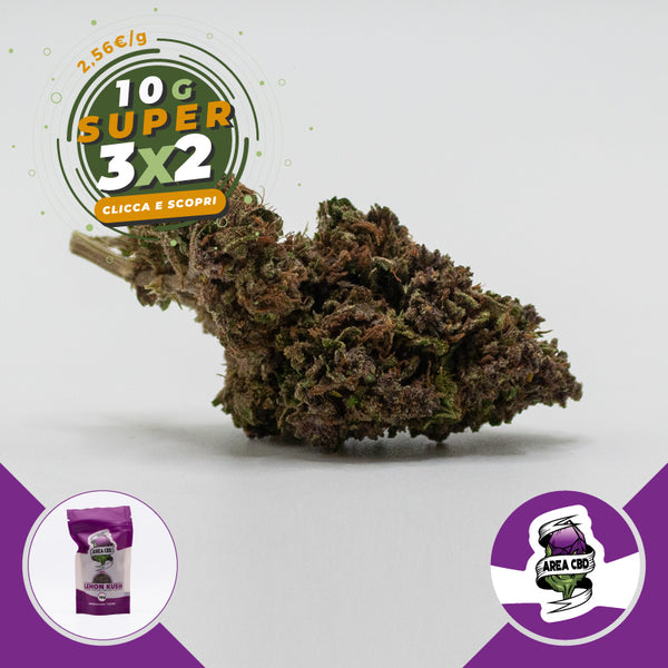 Lemon Kush • da 3,20€/g