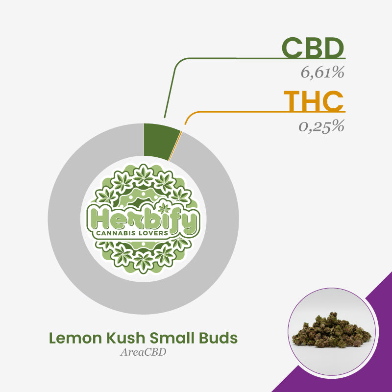 Lemon Kush Small Buds • da 2,70€/g