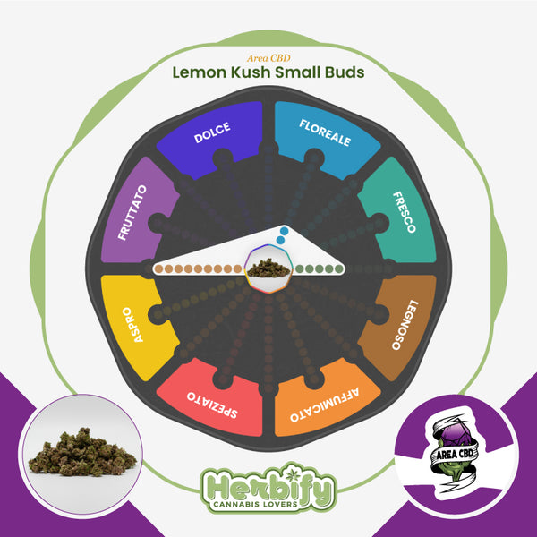 Lemon Kush Small Buds • da 2,70€/g