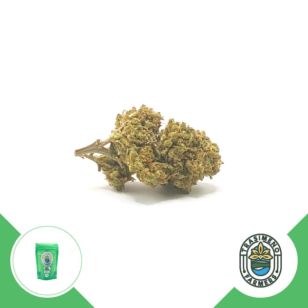 herbify-cannabis-delivery-cbd-firenze-trasimeno-farmers-2023-bz1-erba-legale